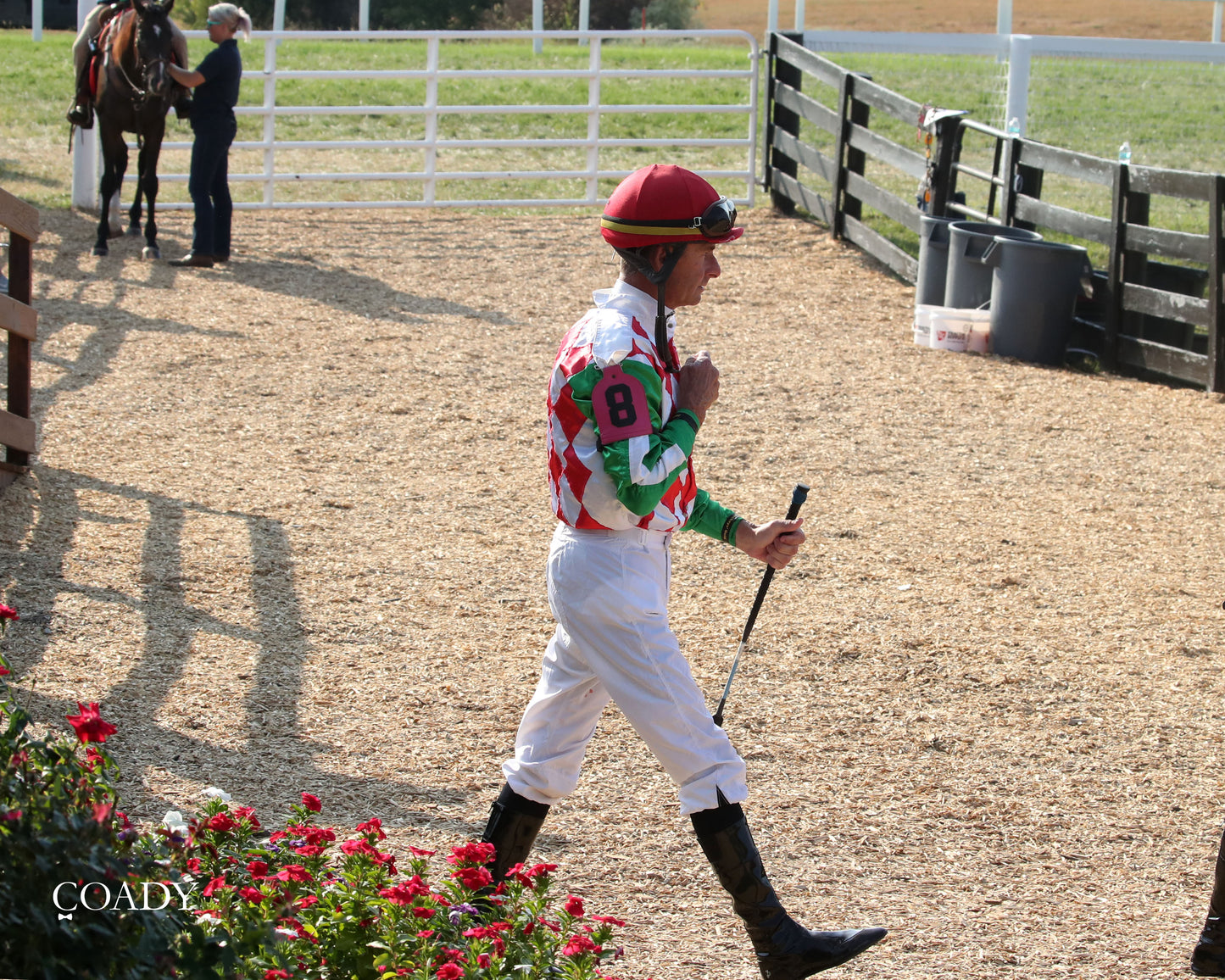 PHAROAH'S WINE - The Mint One Dreamer - 09-04-25 - R09 - KD - Paddock 05 - Coady Media - Kurtis Coady Photography