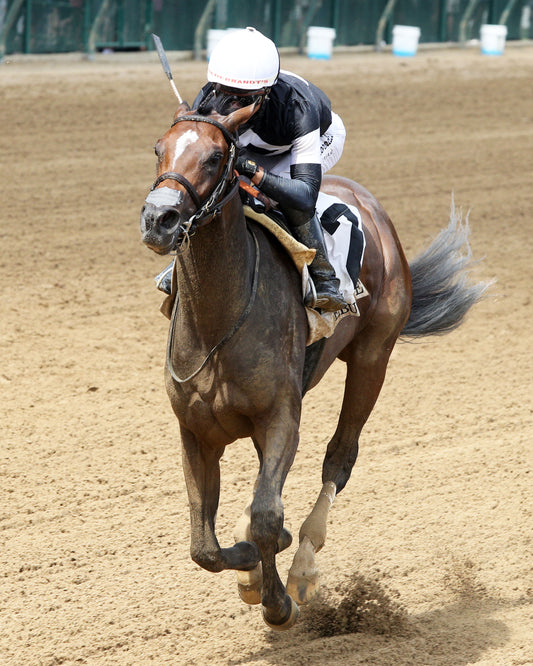 PIERETTE - 062826 - Race 07 - CD - Inside Finish 01