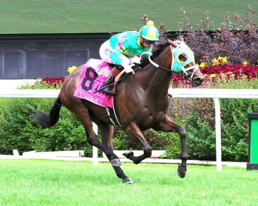 PIN UP BETTY - The Anchorage - 062726 - Race 05 - CD - Finish 02