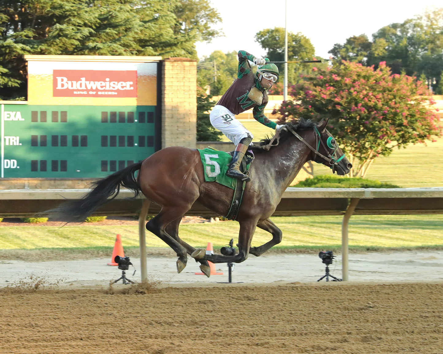 PLAY IT LOUD - Shenandoah Overnight Stakes - 08-28-26 - R04 - CT - Celebration 01