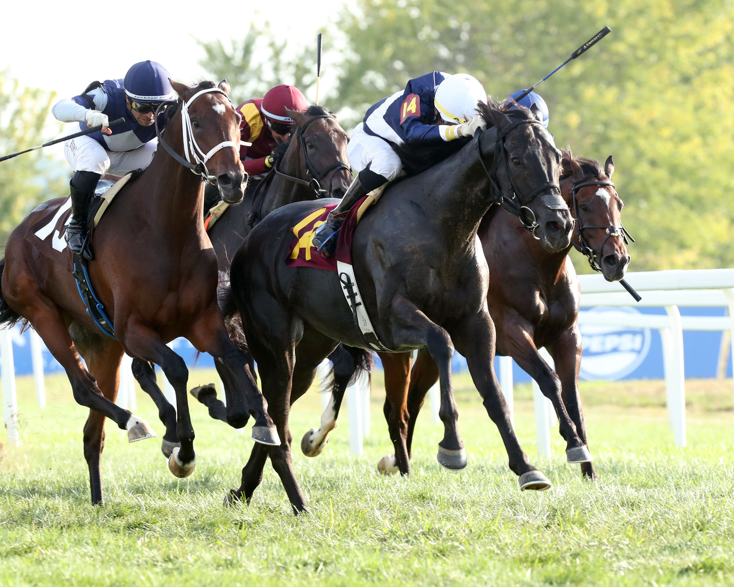 PLENSA - The Tapit Stakes - 08-30-26 - R09 - KD - Finish 02