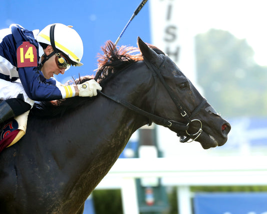 PLENSA - The Tapit Stakes - 08-30-26 - R09 - KD - Finish 03