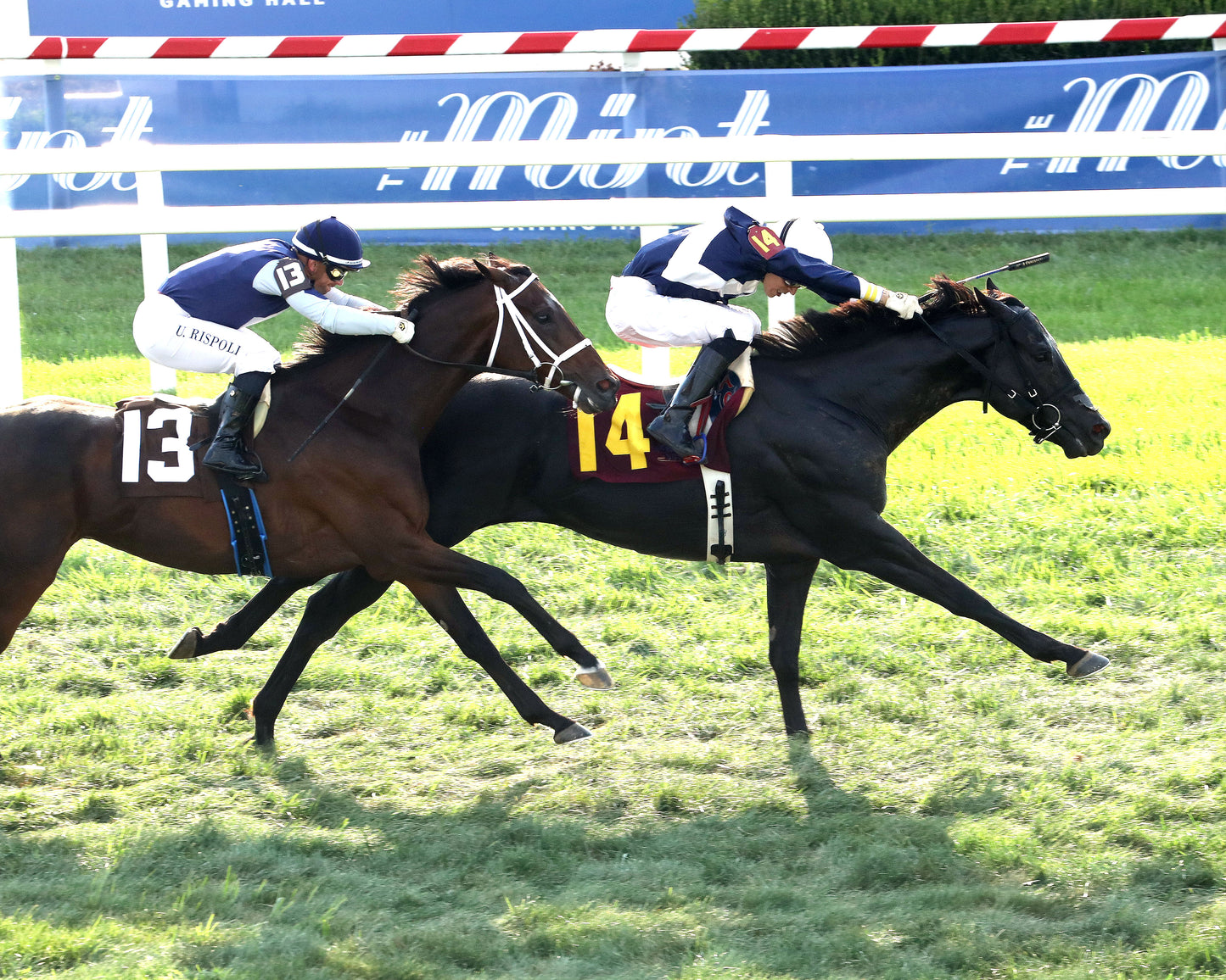 PLENSA - The Tapit Stakes - 08-30-26 - R09 - KD - Finish 04