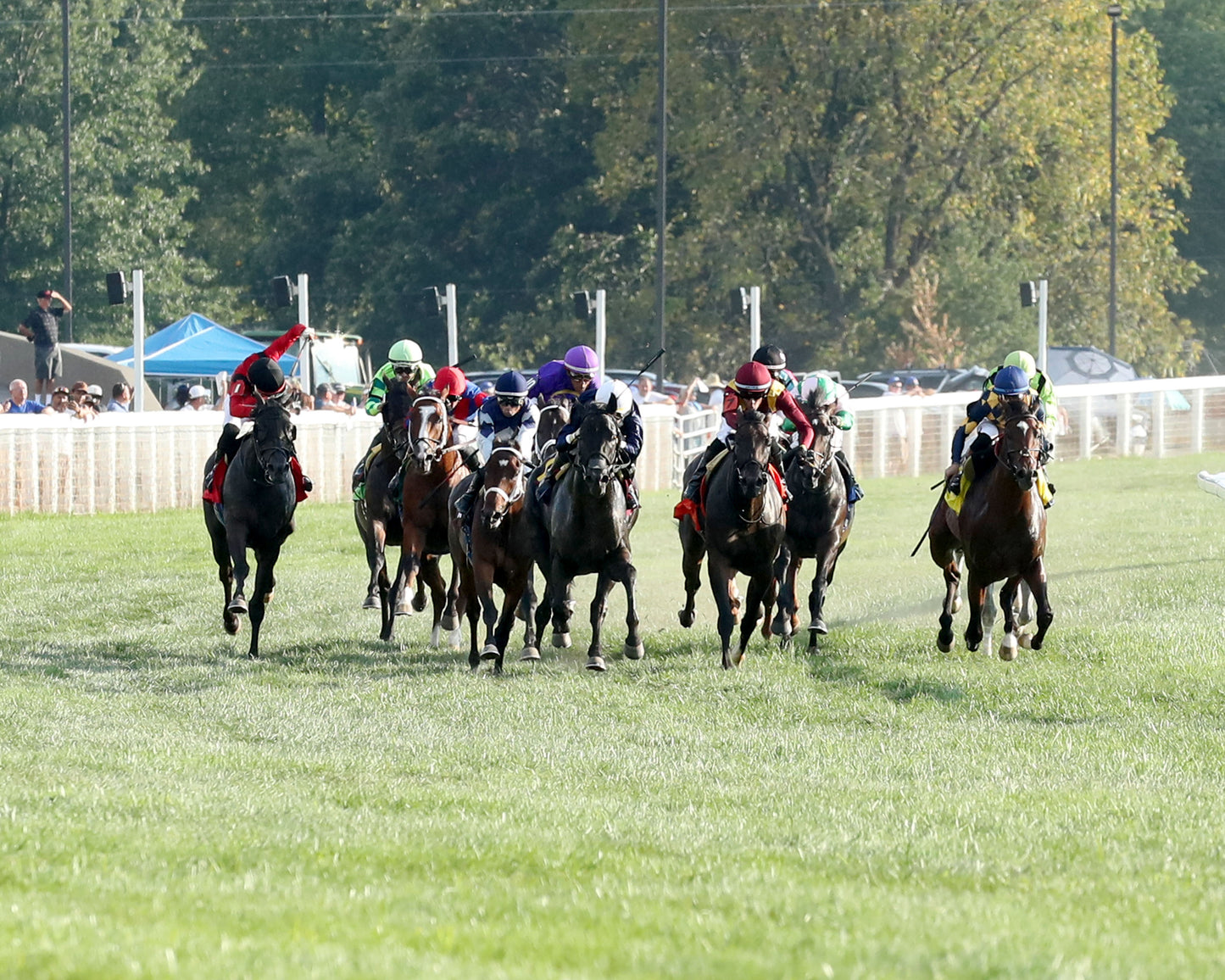 PLENSA - The Tapit Stakes - 08-30-26 - R09 - KD - Head On 01