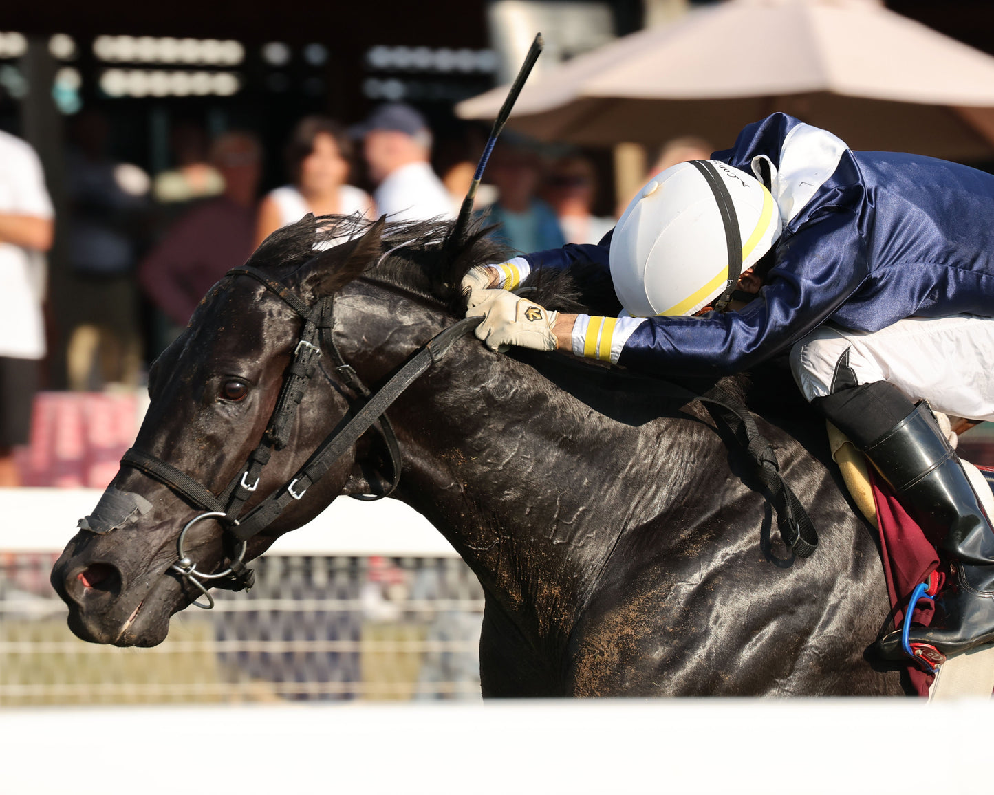 PLENSA - The Tapit Stakes - 08-30-26 - R09 - KD - Inside Finish 02