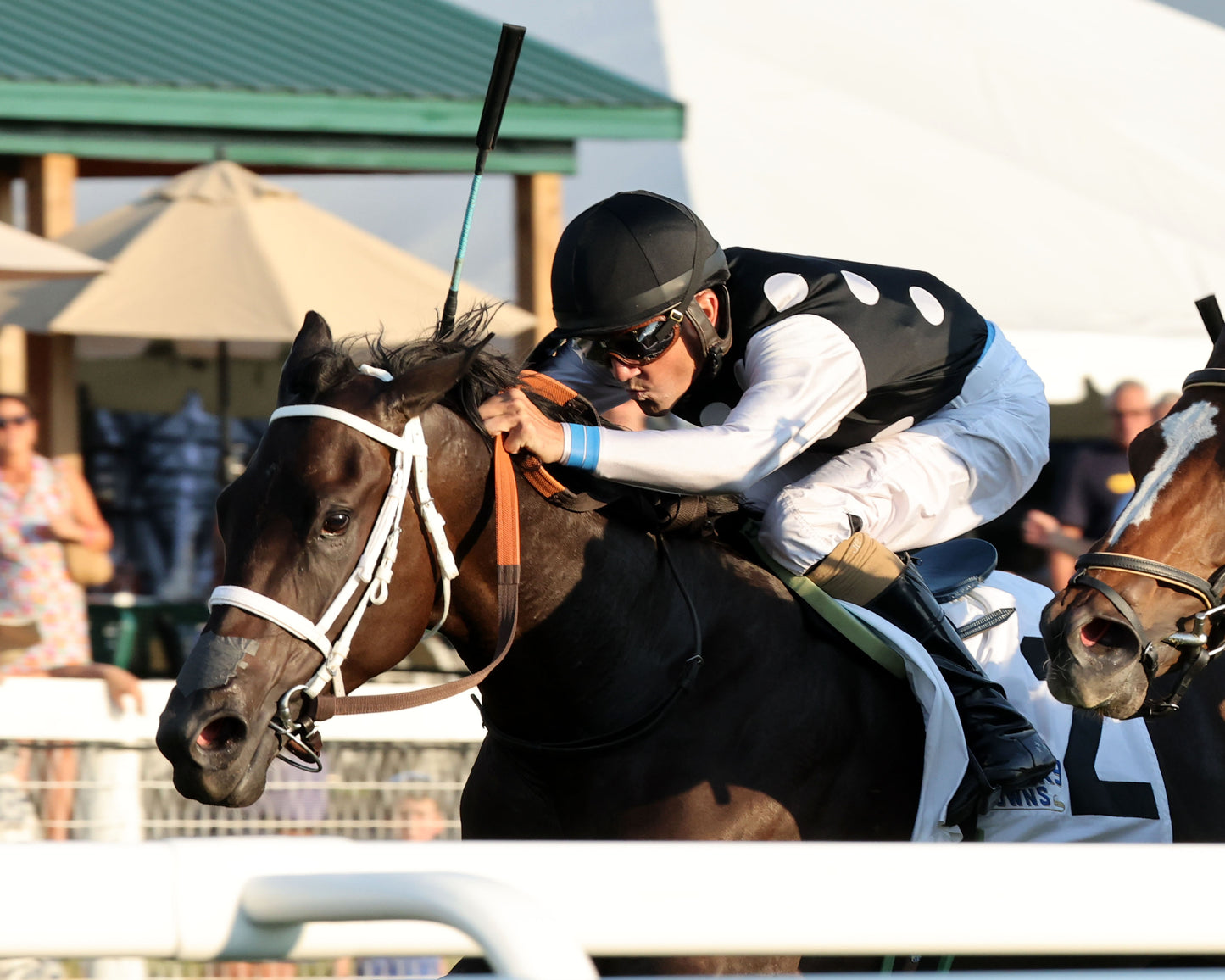PLENSA - The Tapit Stakes - 08-30-26 - R09 - KD - Inside Finish 04