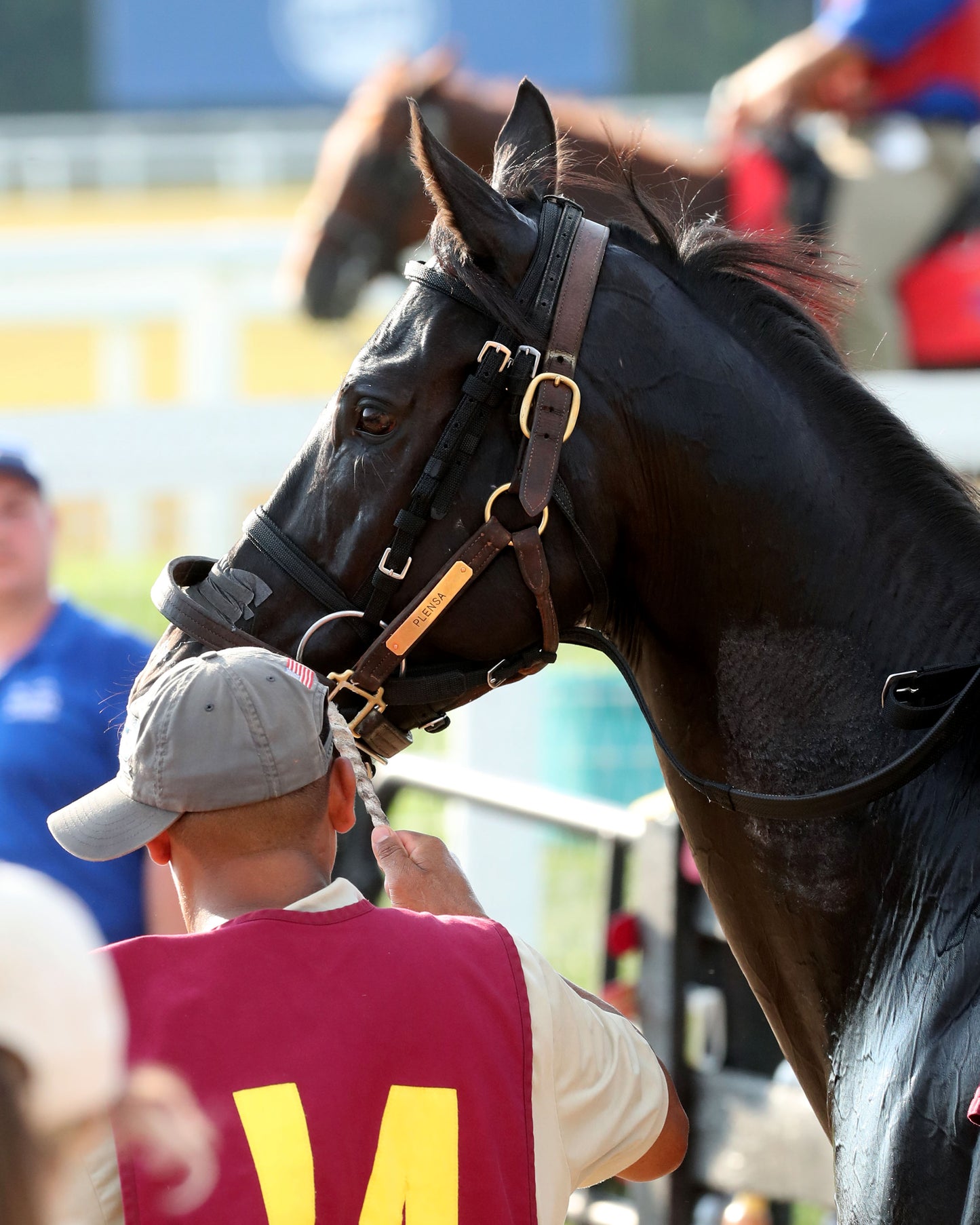 PLENSA - The Tapit Stakes - 08-30-26 - R09 - KD - Paddock 01
