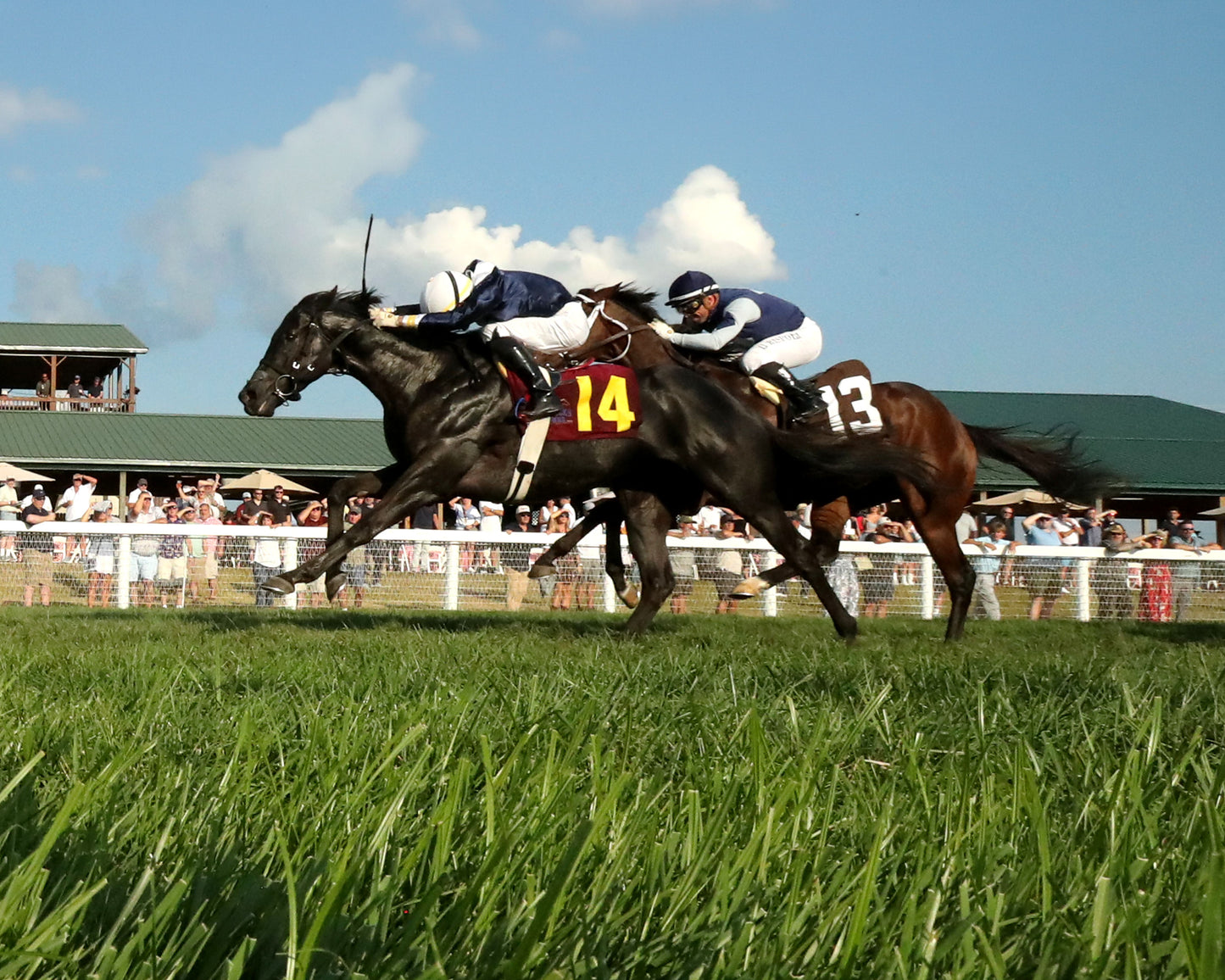 PLENSA - The Tapit Stakes - 08-30-26 - R09 - KD - Under Rail 02
