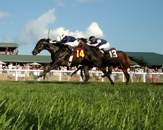 PLENSA - The Tapit Stakes - 08-30-26 - R09 - KD - Under Rail 02