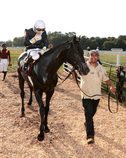 PLENSA - The Tapit Stakes - 08-30-26 - R09 - KD - Walk In 01