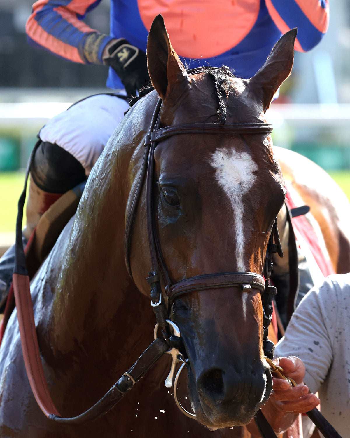 PLUTARCH - 092626 - Race 08 - CD - Come Back 02