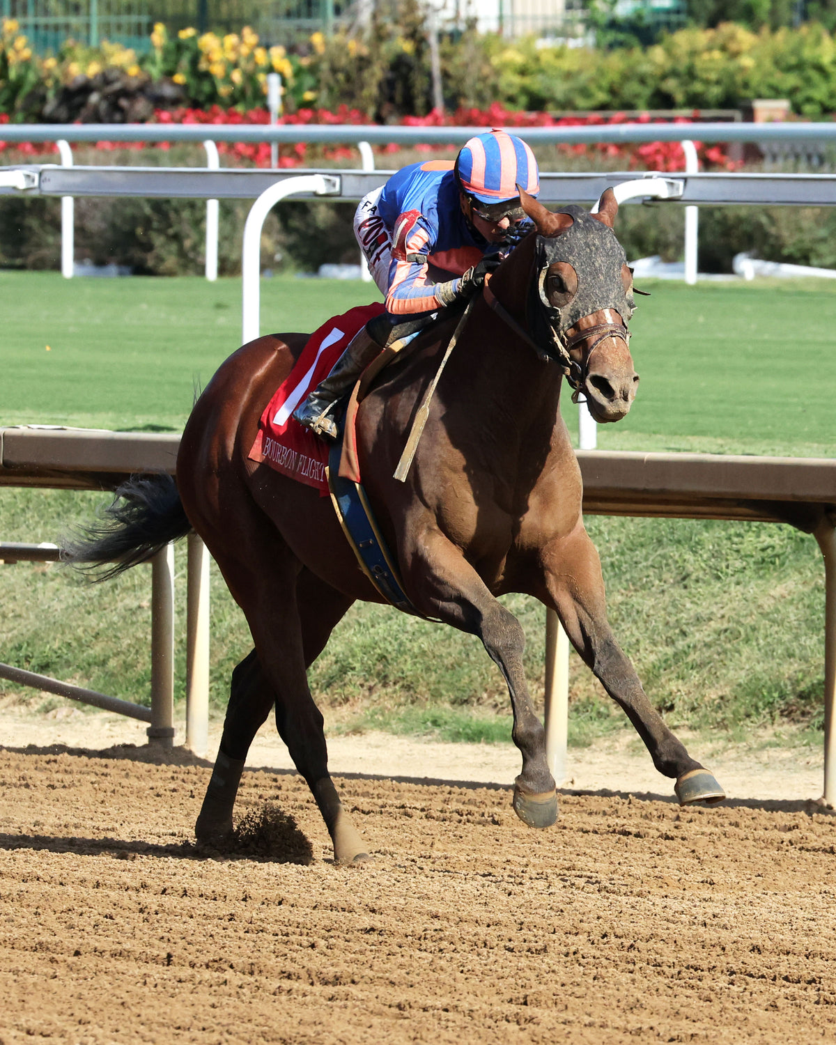PLUTARCH - 092626 - Race 08 - CD - Finish 05