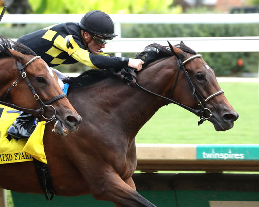 POSITANO SUNSET - The Open Mind - 16th Running - 09-13-25 - R09 - CD - Finish 02 - Coady Media - Kurtis Coady Photography