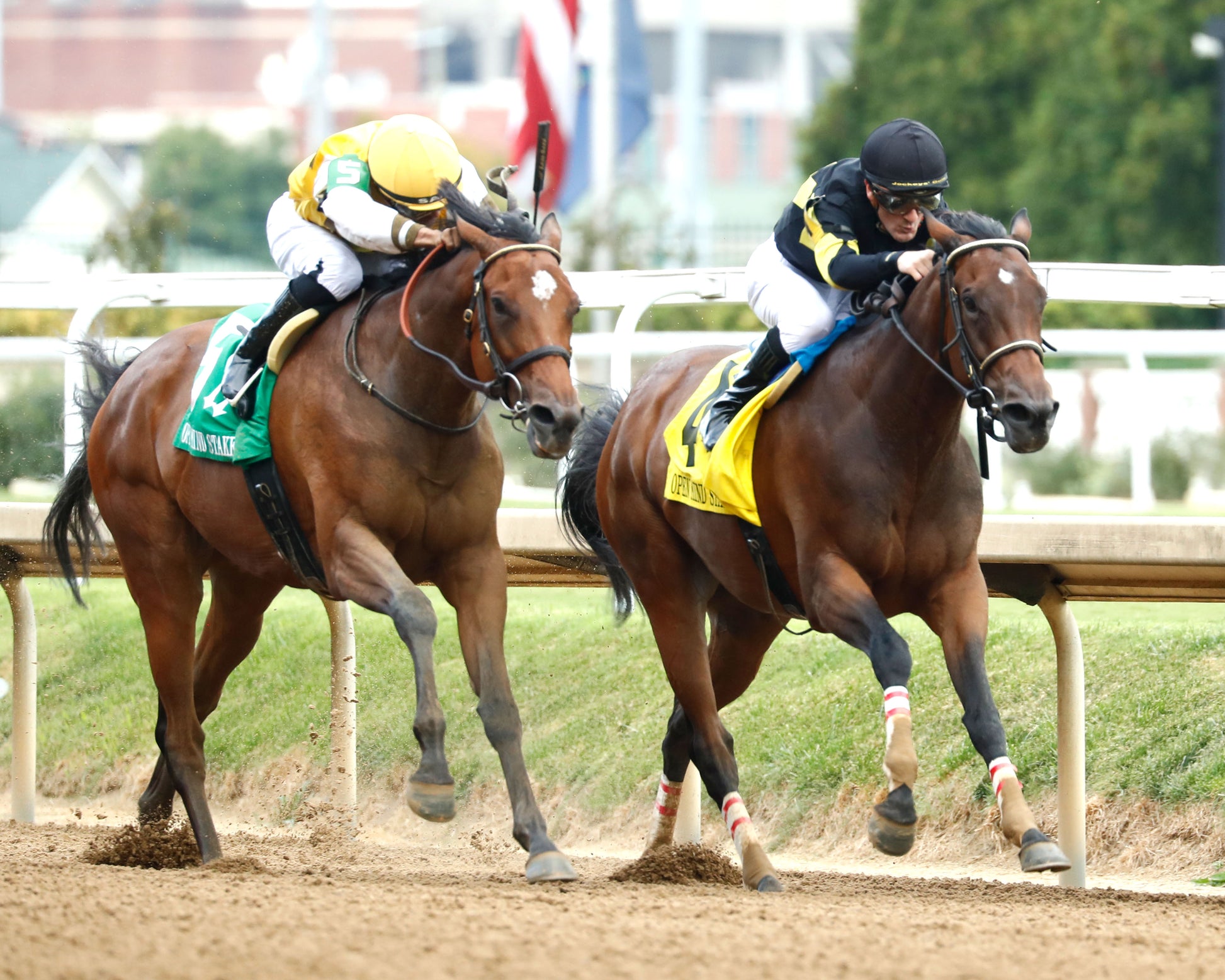 POSITANO SUNSET - The Open Mind - 16th Running - 09-13-25 - R09 - CD - Finish 03 - Coady Media - Kurtis Coady Photography