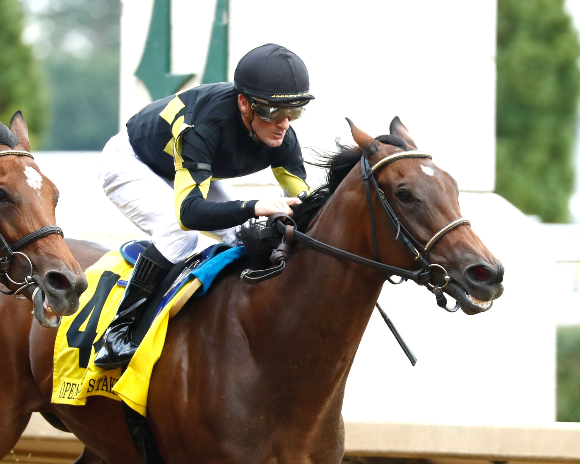 POSITANO SUNSET - The Open Mind - 16th Running - 09-13-25 - R09 - CD - Finish 04 - Coady Media - Kurtis Coady Photography