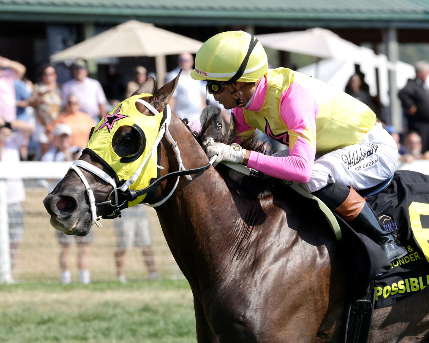 POSSIBLEMENTE - Kentucky Downs Turf Sprint G2 - 09-05-26 - R06 - KD - Inside Finish 01