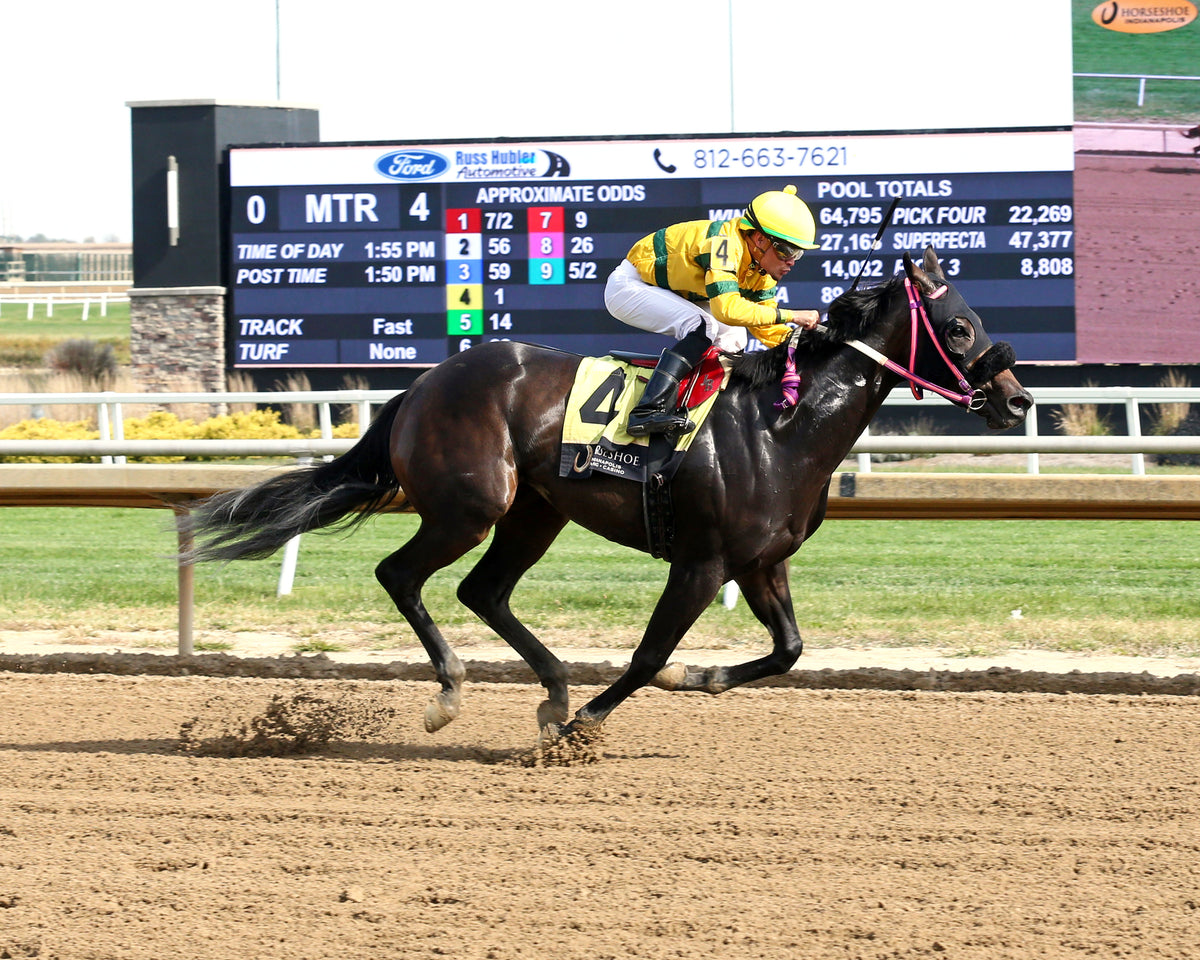 PRAYER FOR MUSIC - Indiana Stallion - 29th Running - 10-24-26 - R04 - Horseshoe Indiana - Finish 01 - Sammantha Pagels