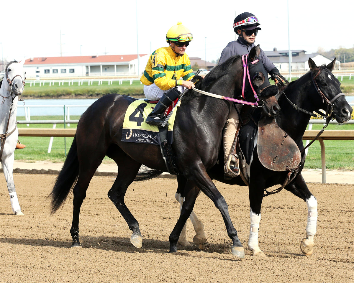 PRAYER FOR MUSIC - Indiana Stallion - 29th Running - 10-24-26 - R04 - Horseshoe Indiana - Post Parade 01 - Sammantha Pagels