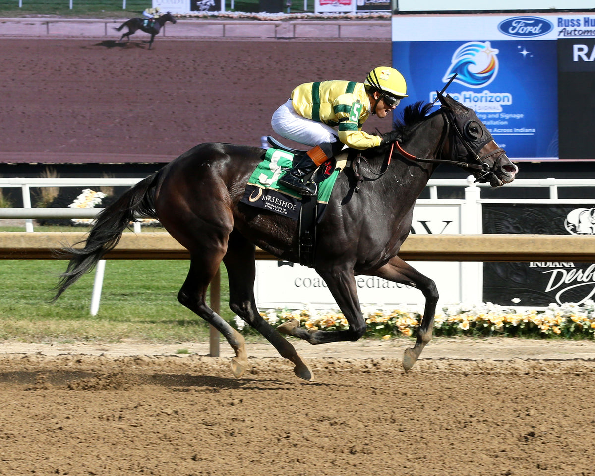 PRAYER UNBRIDLED - Lady Fog Horn - 7th Running - 10-24-26 - R06 - Horseshoe Indiana - Finish 01 - Sammantha Pagels - Coady Media - Kurtis Coady Photography