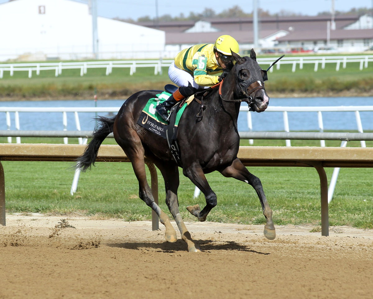 PRAYER UNBRIDLED - Lady Fog Horn - 7th Running - 10-24-26 - R06 - Horseshoe Indiana - Finish 02 - Casey Cable - Coady Media - Kurtis Coady Photography