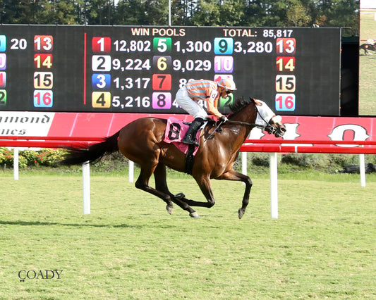 PUBLIC DEFENDER - The Nellie Mae Cox Handicap - 09-13-25 - CNL - Finish 01
