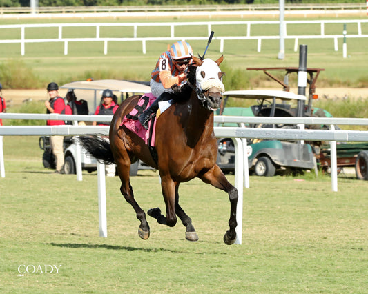 PUBLIC DEFENDER - The Nellie Mae Cox Handicap - 09-13-25 - CNL - Finish 02