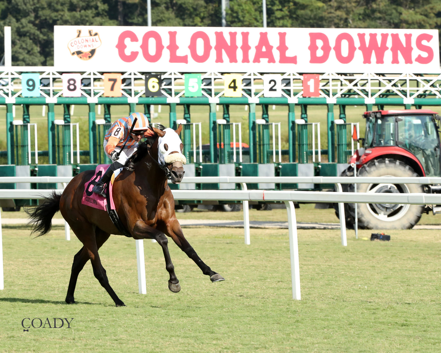PUBLIC DEFENDER - The Nellie Mae Cox Handicap - 09-13-25 - CNL - Finish 04