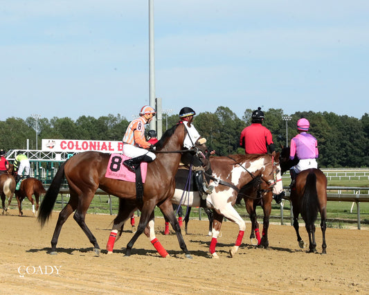 PUBLIC DEFENDER - The Nellie Mae Cox Handicap - 09-13-25 - CNL - Post Parade 01