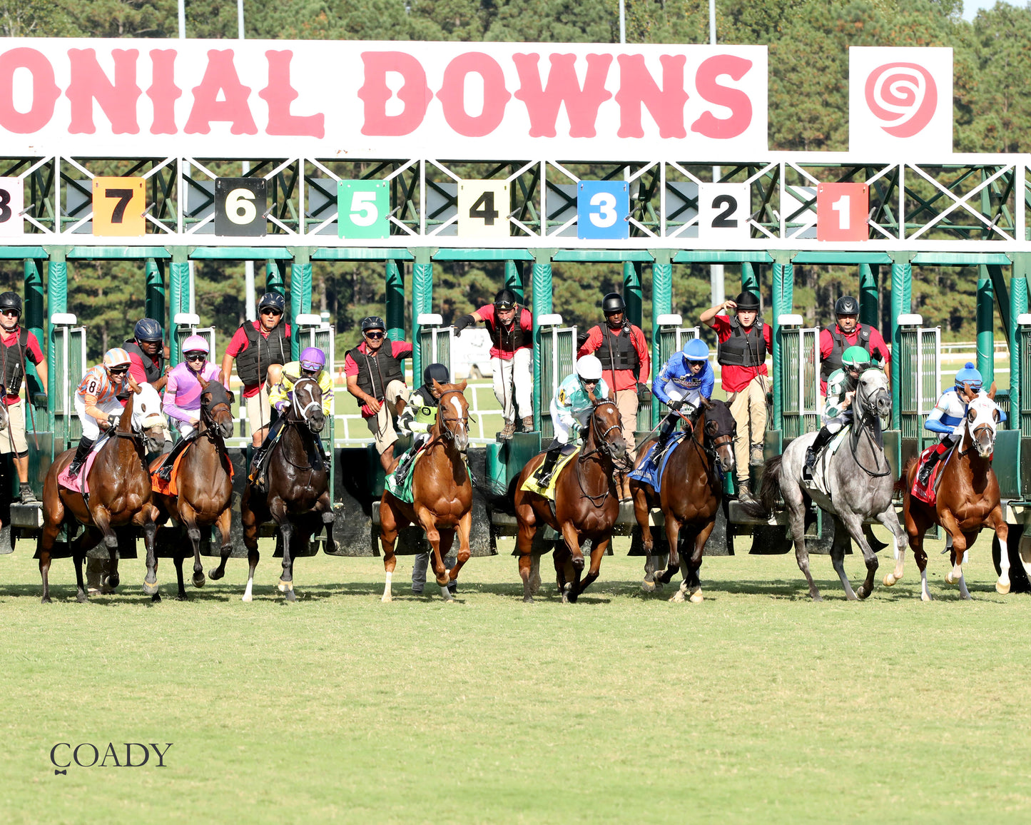 PUBLIC DEFENDER - The Nellie Mae Cox Handicap - 09-13-25 - CNL - Start 01