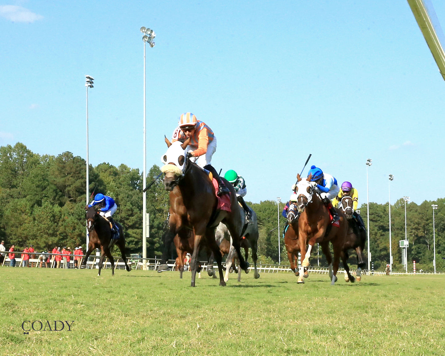 PUBLIC DEFENDER - The Nellie Mae Cox Handicap - 09-13-25 - CNL - Under Rail 01