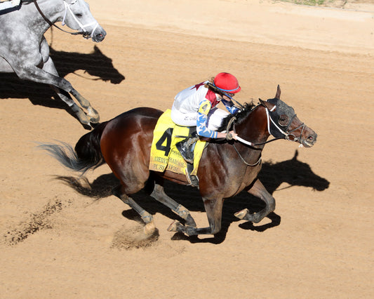 PUBLISHER - The American Pharoah Overnight Stakes - 03-28-26 - R09 - OP - Aerial Finish 01 - Coady Media - Kurtis Coady Photography