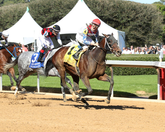 PUBLISHER - The American Pharoah Overnight Stakes - 03-28-26 - R09 - OP - Finish 02 - Coady Media - Kurtis Coady Photography