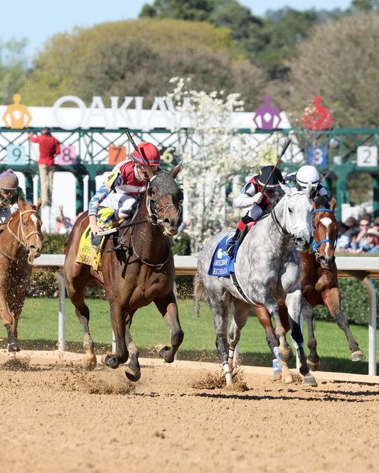 PUBLISHER - The American Pharoah Overnight Stakes - 03-28-26 - R09 - OP - Finish 03 - Coady Media - Kurtis Coady Photography