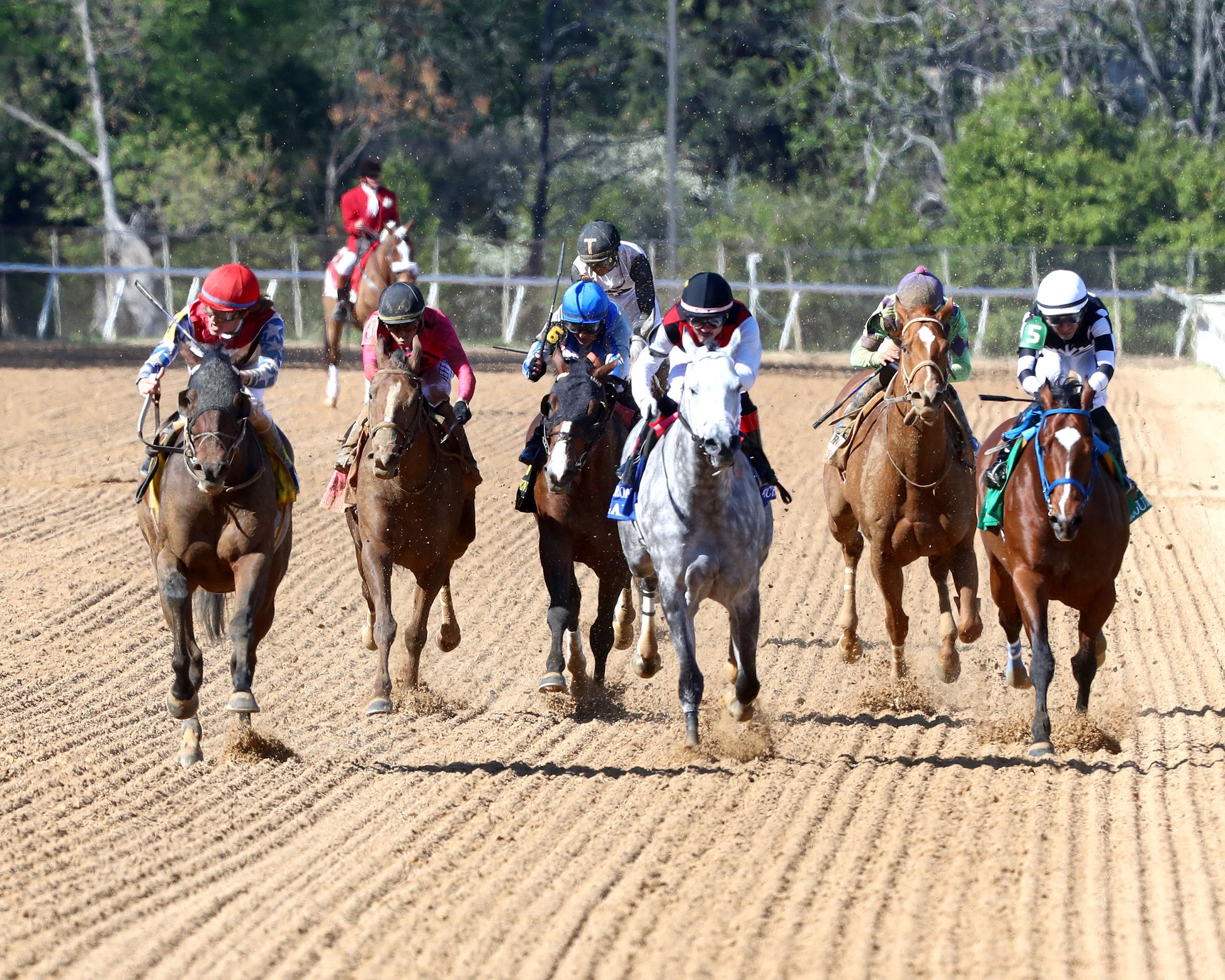 PUBLISHER - The American Pharoah Overnight Stakes - 03-28-26 - R09 - OP - Head On 01 - Coady Media - Kurtis Coady Photography