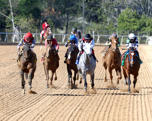 PUBLISHER - The American Pharoah Overnight Stakes - 03-28-26 - R09 - OP - Head On 01 - Coady Media - Kurtis Coady Photography