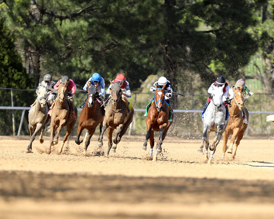 PUBLISHER - The American Pharoah Overnight Stakes - 03-28-26 - R09 - OP - Turn 01 - Coady Media - Kurtis Coady Photography