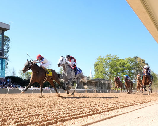 PUBLISHER - The American Pharoah Overnight Stakes - 03-28-26 - R09 - OP - Under Rail 01 - Coady Media - Kurtis Coady Photography