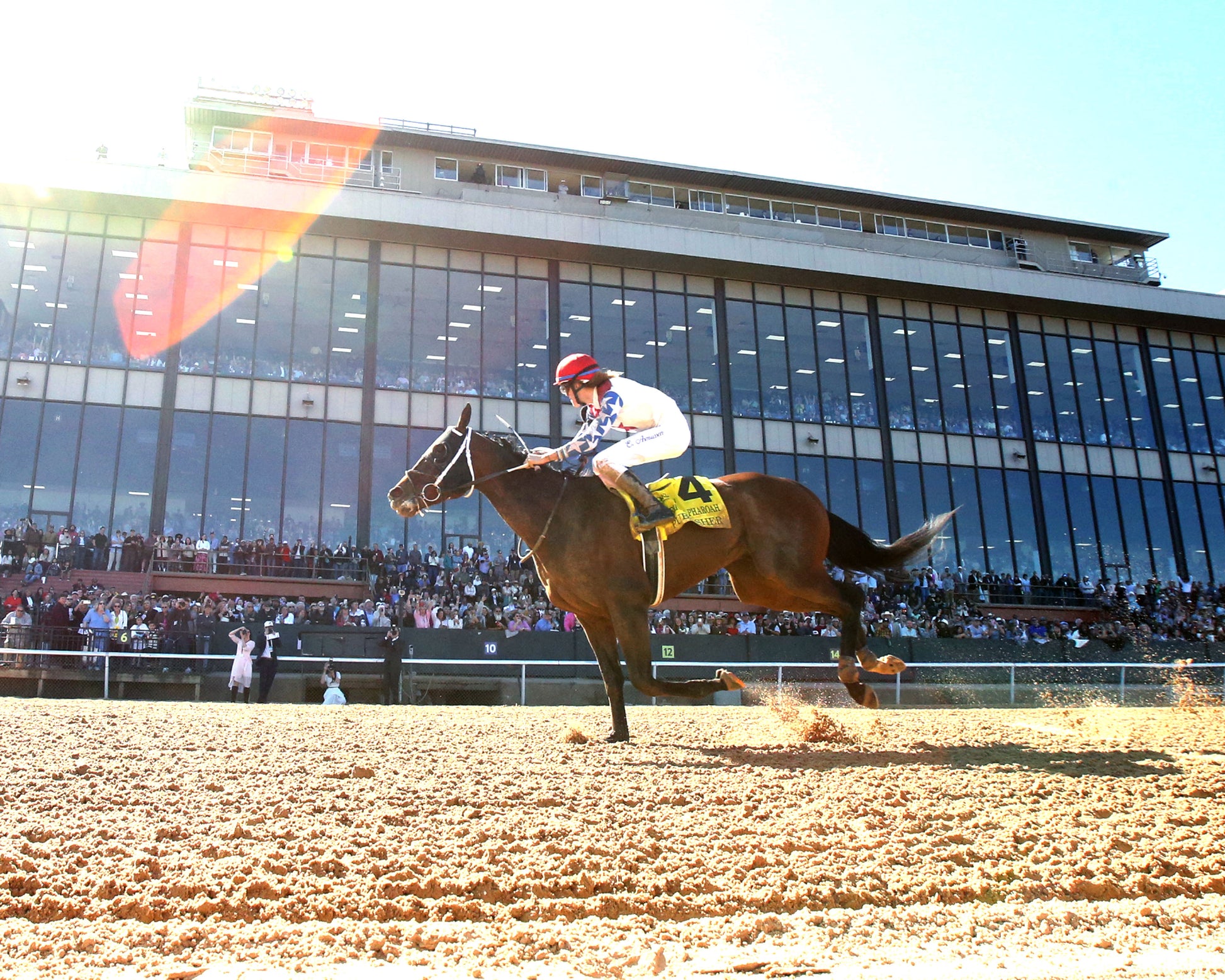 PUBLISHER - The American Pharoah Overnight Stakes - 03-28-26 - R09 - OP - Under Rail 02 - Coady Media - Kurtis Coady Photography