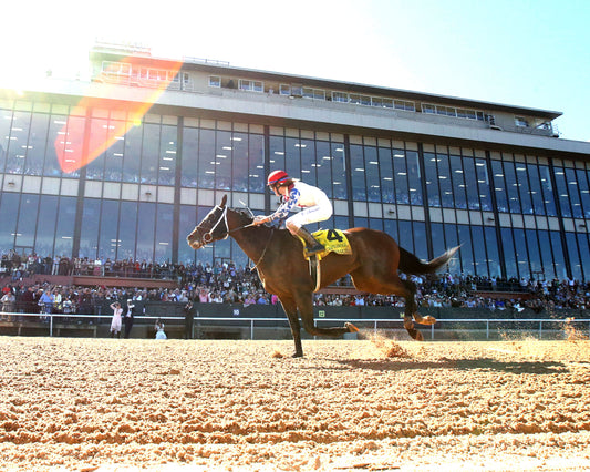 PUBLISHER - The American Pharoah Overnight Stakes - 03-28-26 - R09 - OP - Under Rail 02 - Coady Media - Kurtis Coady Photography