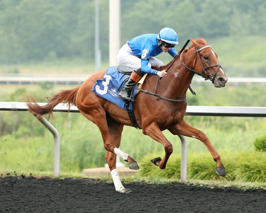 QUIET STREET - The Lady Erie Stakes - 07-20-26 - R07 - Presque Isle Downs - 3/4 shot 01
