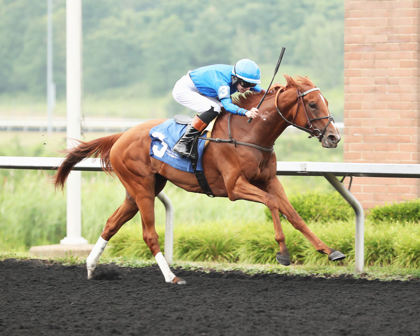 QUIET STREET - The Lady Erie Stakes - 07-20-26 - R07 - Presque Isle Downs - 3/4 shot 02