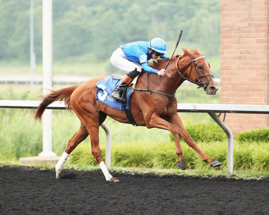 QUIET STREET - The Lady Erie Stakes - 07-20-26 - R07 - Presque Isle Downs - 3/4 shot 02