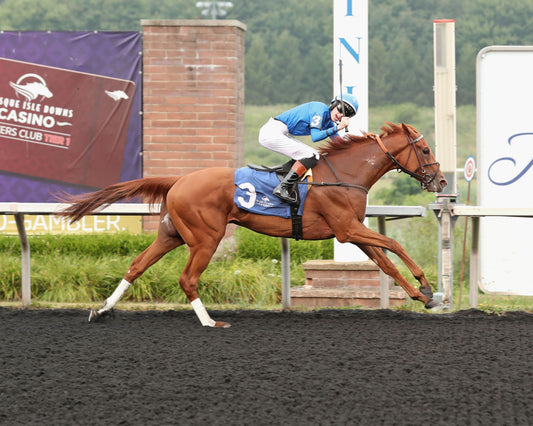 QUIET STREET - The Lady Erie Stakes - 07-20-26 - R07 - Presque Isle Downs - Finish