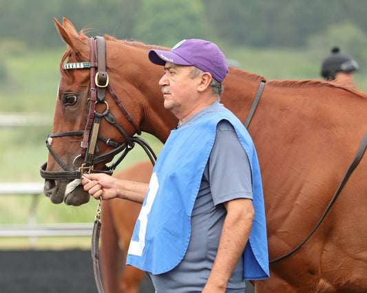 QUIET STREET - The Lady Erie Stakes - 07-20-26 - R07 - Presque Isle Downs - Paddock 03