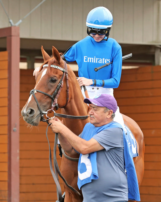 QUIET STREET - The Lady Erie Stakes - 07-20-26 - R07 - Presque Isle Downs - Paddock 04