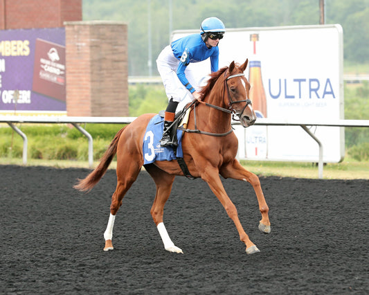 QUIET STREET - The Lady Erie Stakes - 07-20-26 - R07 - Presque Isle Downs - Post Parade