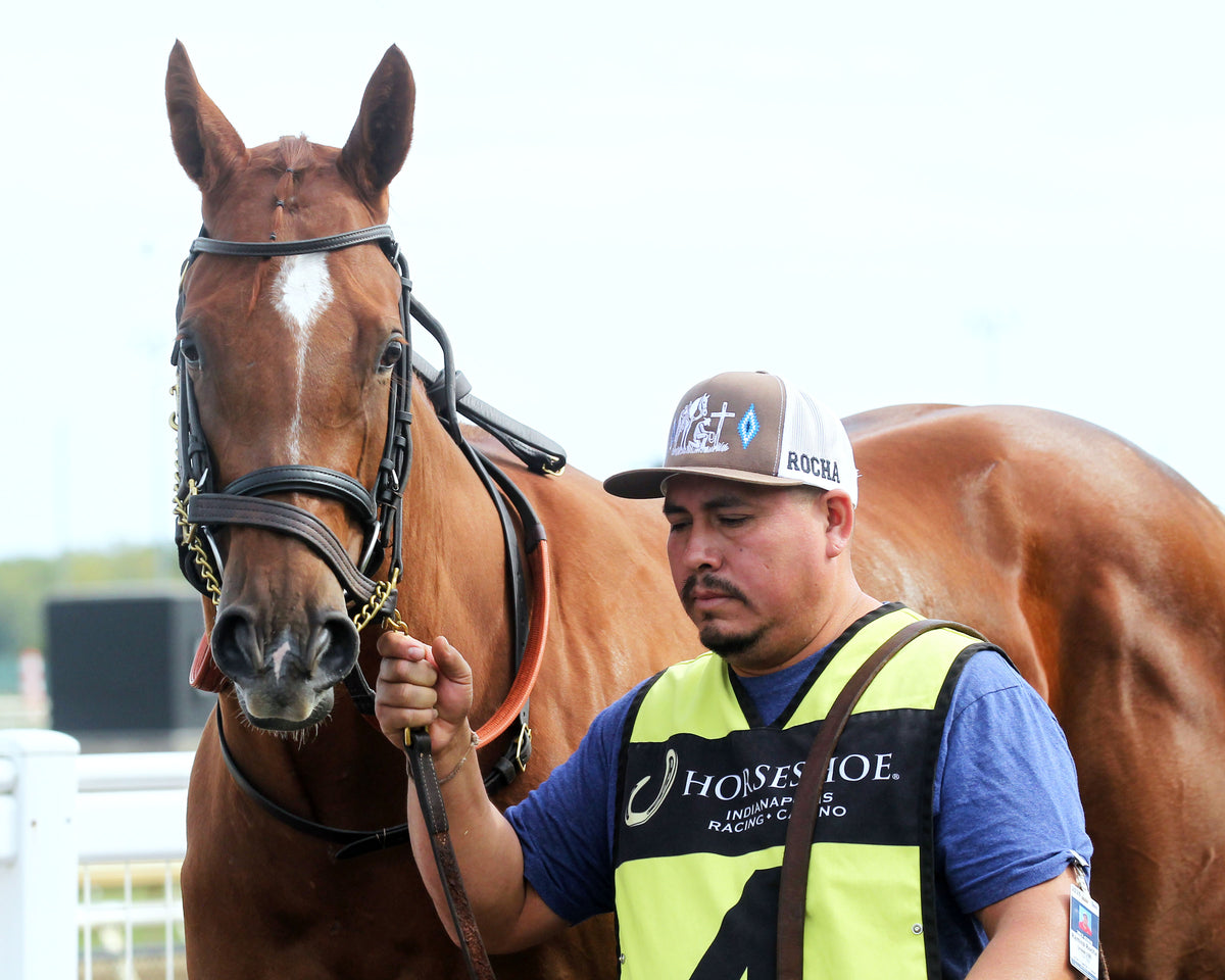 Q'S DISCO DANCER - Back Home Again - 26th Running - 09-30-26 - R04 - Horseshoe Indiana - Paddock 01 - Casey Cable