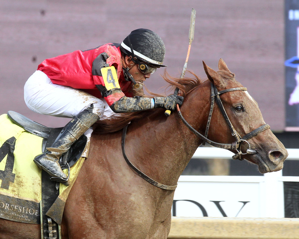 Q'S DISCO DANCER - Back Home Again - 26th Running - 09-30-26 - R04 - Horseshoe Indiana - Tight Finish 01 - Casey Cable