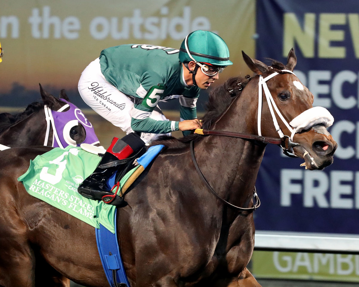 REAGAN'S FLAME - The Presque Isle Masters Stakes - G2 - 09-18-26 - R09 - PID - Finish 02