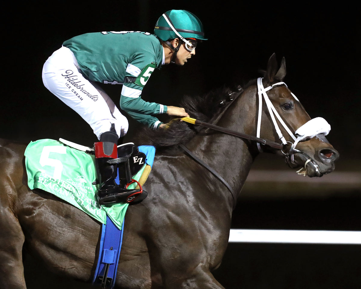 REAGAN'S FLAME - The Presque Isle Masters Stakes - G2 - 09-18-26 - R09 - PID - Gallop Out